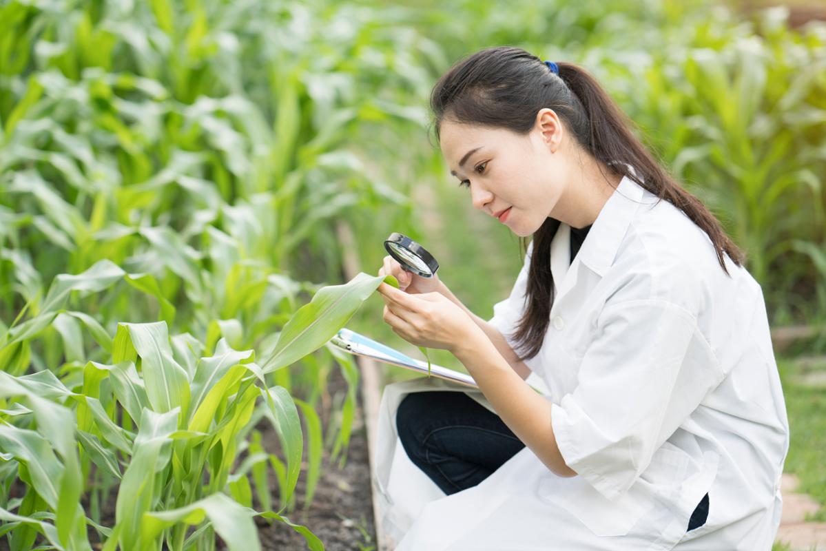 environmental-science